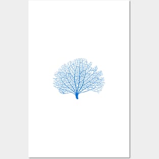 blue sea fan coral silhouette Posters and Art